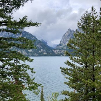 Buffalo Roam Tours - Grand Teton - Bus Tours Near Me Buffalo Roam Tours - Grand Teton - Bus Tours Near Me
