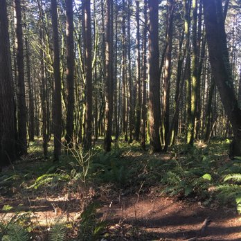Mount Talbert Nature Park - Parks Near Me - Clackamas, Oregon