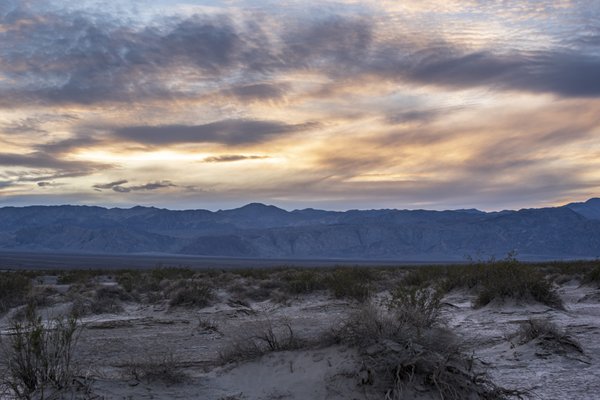 Mesquite Spring Campground by null
