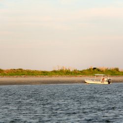 Tideline Tours
