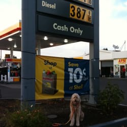Shell