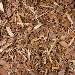 Sylva Corporation - Pine Bark Pine bark is produced from Northern Pine species. A popular choice for gardeners with acid loving plants and shrubs.