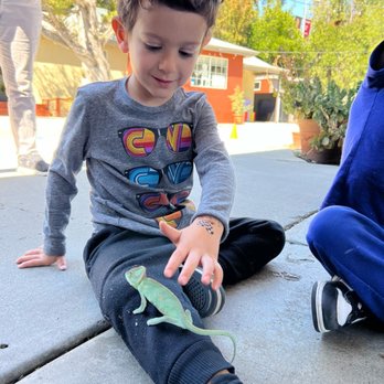 my Montessori - Montessori Schools Near Me - West Hills, California my Montessori - Montessori Schools Near Me - West Hills, California