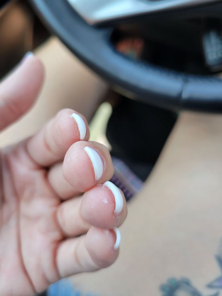 NAILS BY HOLLY Updated September 2024 52 Photos & 65 Reviews