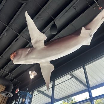 The Boiling Crab - Cajun/Creole Near Me - Brea, California The Boiling Crab - Cajun/Creole Near Me - Brea, California