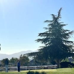 Ashwood Golf Course
