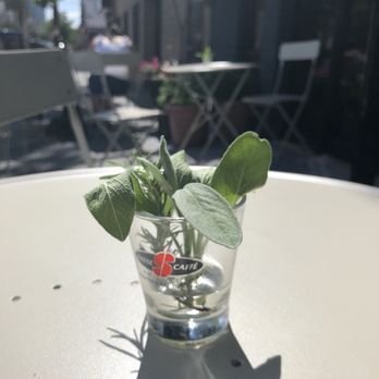 Prato Bakery - Fresh herbs adorn the tables on the patio - Coffee & Tea Near Me - Jersey City, New Jersey Prato Bakery - Fresh herbs adorn the tables on the patio - Coffee & Tea Near Me - Jersey City, New Jersey