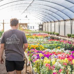 Hughes Plant Farm - spring is here!