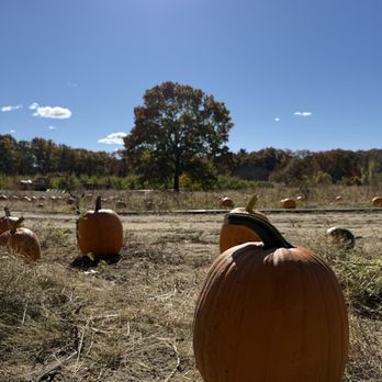 Jaswell's Farm - Farmers Market Near Me - Smithfield, Rhode Island