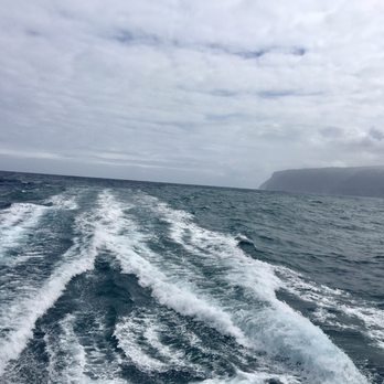 Capt Andy's - Our wake - Boat Tours Near Me - Ele'ele, Hawaii Capt Andy's - Our wake - Boat Tours Near Me - Ele'ele, Hawaii