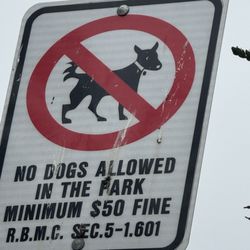 King Harbor - The Park has a $50 minimum fine for violating the "No Dogs Allowed" rules, but is it the park grass only or the outside paved area?