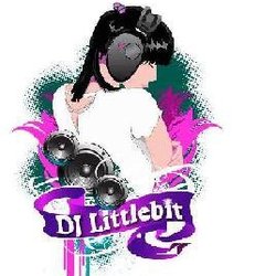 DJ Littlebit - DJ Littlebit - Sarasota, Bradenton, Venice DJ - Wedding and Events DJ