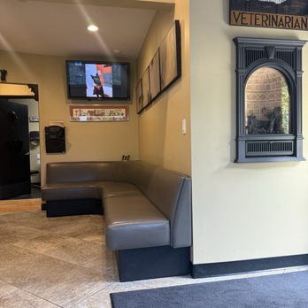Ophthalmology For Animals - Waiting lobby - Veterinarians Near Me - Aptos, California Ophthalmology For Animals - Waiting lobby - Veterinarians Near Me - Aptos, California
