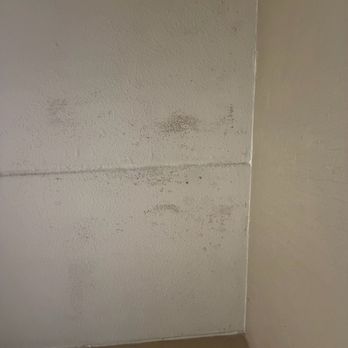 SpringHill Suites by Marriott Cincinnati North/Forest Park - Mold on ceiling, room was musty and smelled bad. - Hotels Near Me - Cincinnati, Ohio