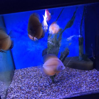 Austin Aqua-Dome - Pet Stores Near Me - Austin, Texas