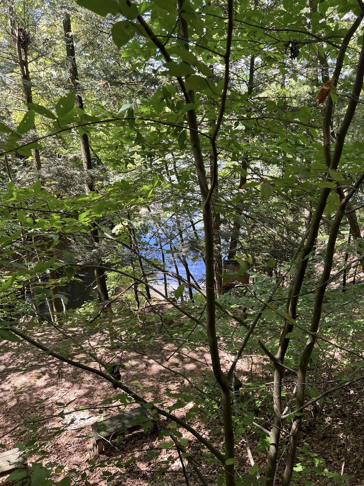 Sweet Arrow Lake County Park Logo