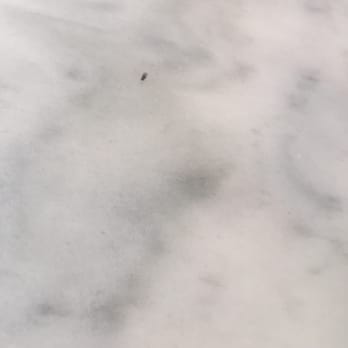 100 Montaditos - Fruit flies everywhere! - Spanish Near Me - Miami Lakes, Florida 100 Montaditos - Fruit flies everywhere! - Spanish Near Me - Miami Lakes, Florida
