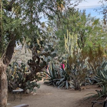 Moorten Botanical Garden - Wild to see so much variety in close proximity - Nurseries & Gardening Near Me - Palm Springs, California Moorten Botanical Garden - Wild to see so much variety in close proximity - Nurseries & Gardening Near Me - Palm Springs, California