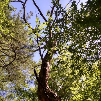 Wolf Hill Forest Preserve - Hiking Near Me - Smithfield, Rhode Island