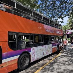 Waikiki Trolley - Waikīkī Trolley Bus