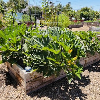 Agriculture Museum - Museums Near Me - Santa Paula, California
