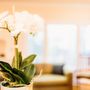 Photo of Sam Vijeh, DMD - Northbrae Dentistry
