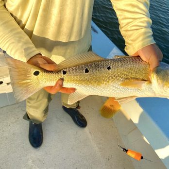St Bernard Fishing Charters - Spots - Boat Charters Near Me - Saint Bernard, Louisiana St Bernard Fishing Charters - Spots - Boat Charters Near Me - Saint Bernard, Louisiana