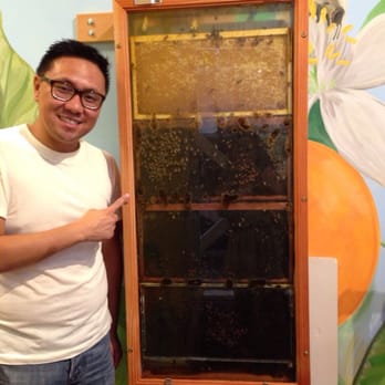 Agriculture Museum - The bee exhibit! - Museums Near Me - Santa Paula, California