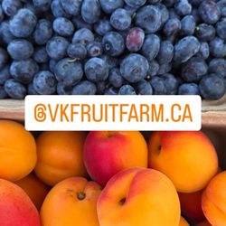 VK Fruit Farm - Blueberries and peaches