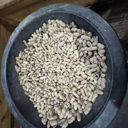 Original Roadhouse Grill - Peanuts