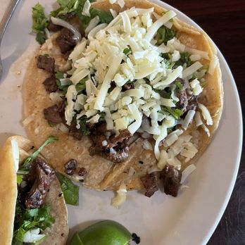 Los Loros Mexican Restaurant - Tacos with corn tortillas - Mexican Near Me - Jacksonville, Florida