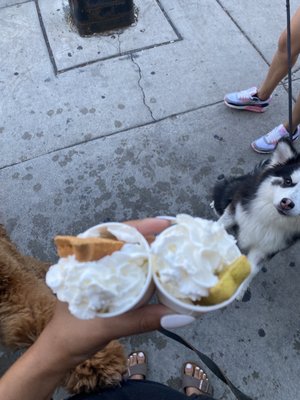 The Goddess and Grocer Bucktown by null