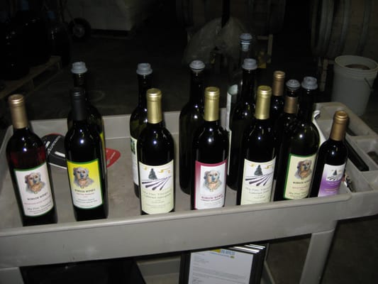 BobDog Wines by null