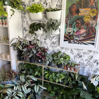 The Botanical Bar - Inside - Nurseries & Gardening Near Me - Indianapolis, Indiana The Botanical Bar - Inside - Nurseries & Gardening Near Me - Indianapolis, Indiana