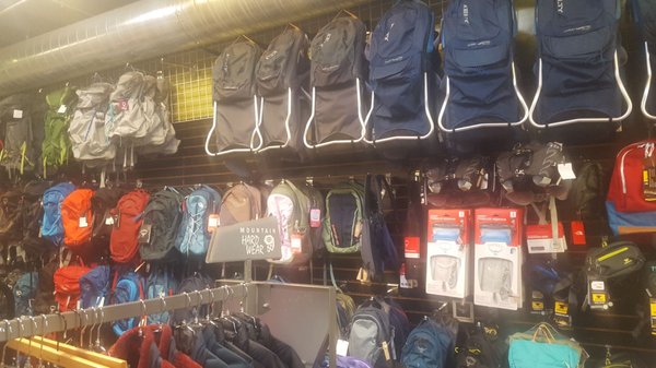 Cadillac Mountain Sports by null