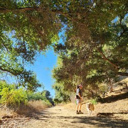 Aliso Canyon Park