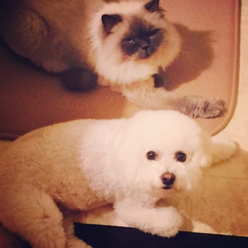 Holistic Pet Cuisine - Pet Stores Near Me - Boca Raton, Florida