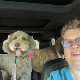 Mags freshly groomed