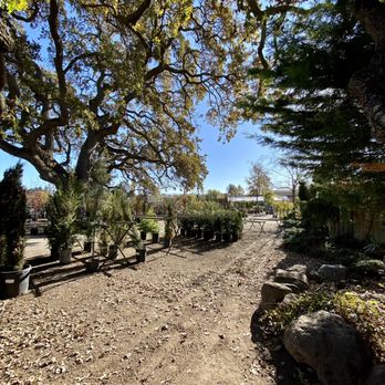 Alden Lane Nursery - Best time to visit is weekday mornings. No need for social distancing at all! - Nurseries & Gardening Near Me - Livermore, California