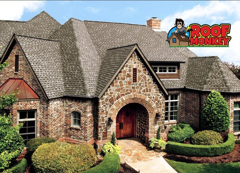 Slide of Roof Monkey