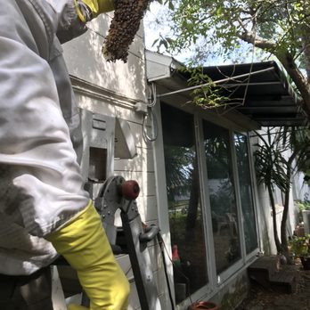 BeeMan Stan - undefined - Pest Control Near Me