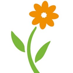 Balanced Home Care