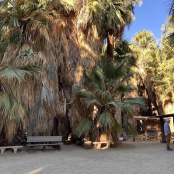 Indian Canyons - Parks Near Me - Palm Springs, California