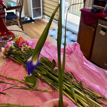 Stems Florist - Florists Near Me - Omaha, Nebraska Stems Florist - Florists Near Me - Omaha, Nebraska