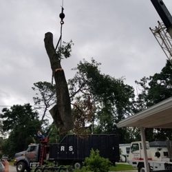 Four Seasons Tree Service