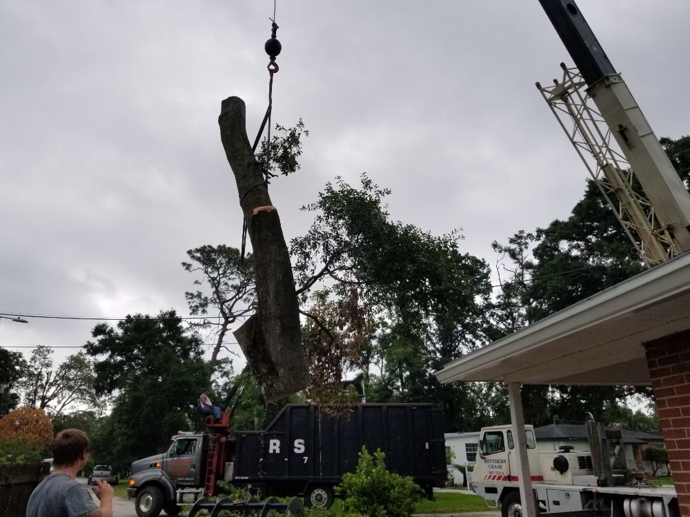 Four Seasons Tree Service - tree service in Jacksonville, FL