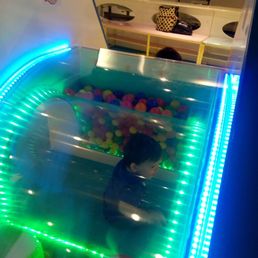 See through slide