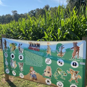 Braehead Farm - Corn maze scavenger hunt - Farmers Market Near Me - Fredericksburg, Virginia