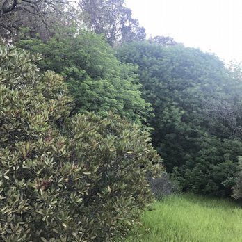 Dinosaur Hill Park - Parks Near Me - Pleasant Hill, California