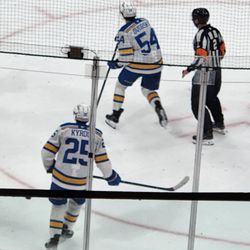 St Louis Blues Hockey Club